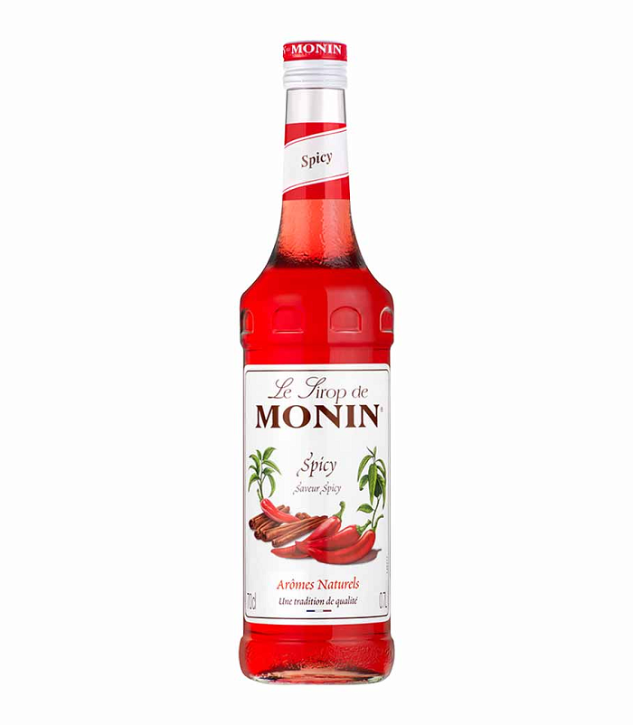 MONIN SPICY SYRUP 700ml