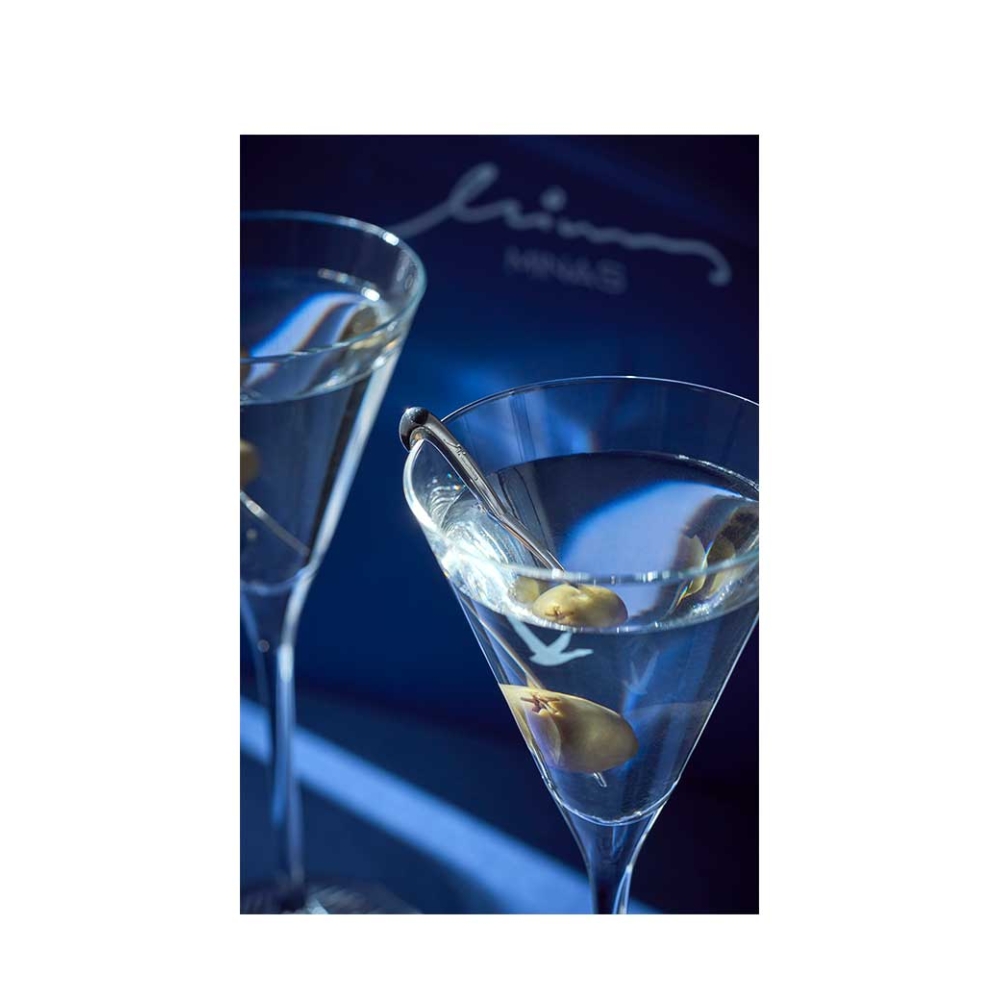 GREY GOOSE VODKA SET WITH MINAS COCKTAIL PICS & MARTINI GLASSES