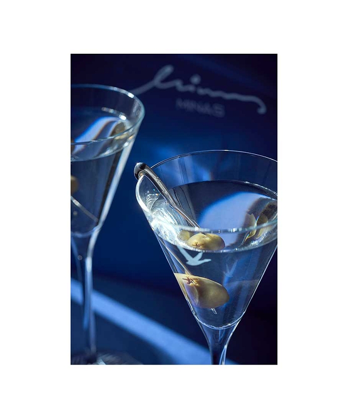 GREY GOOSE VODKA SET WITH MINAS COCKTAIL PICS & MARTINI GLASSES